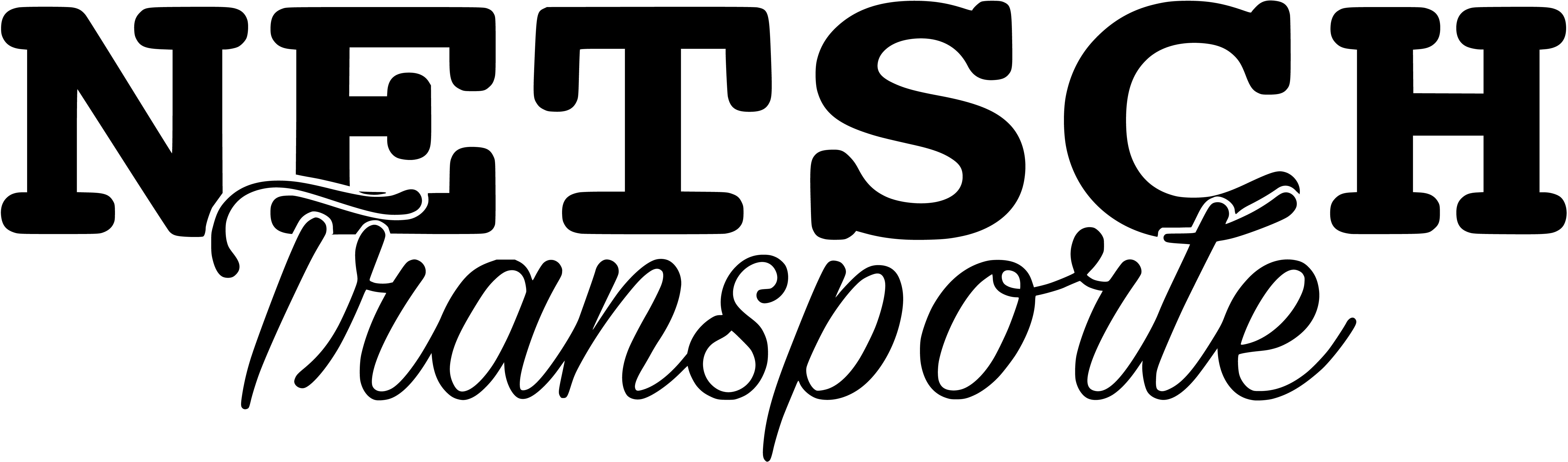 Netsch Team